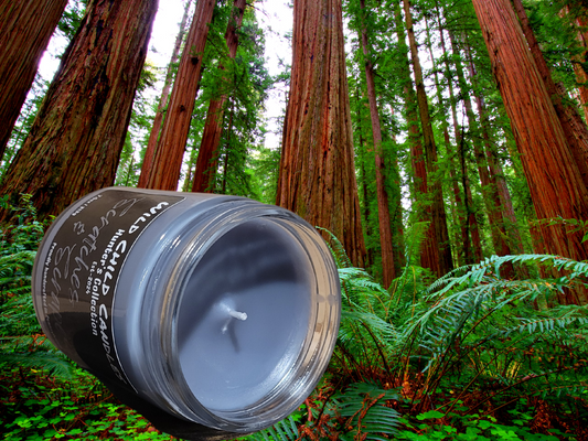 Scratches And Scrapes 7.5oz Candle