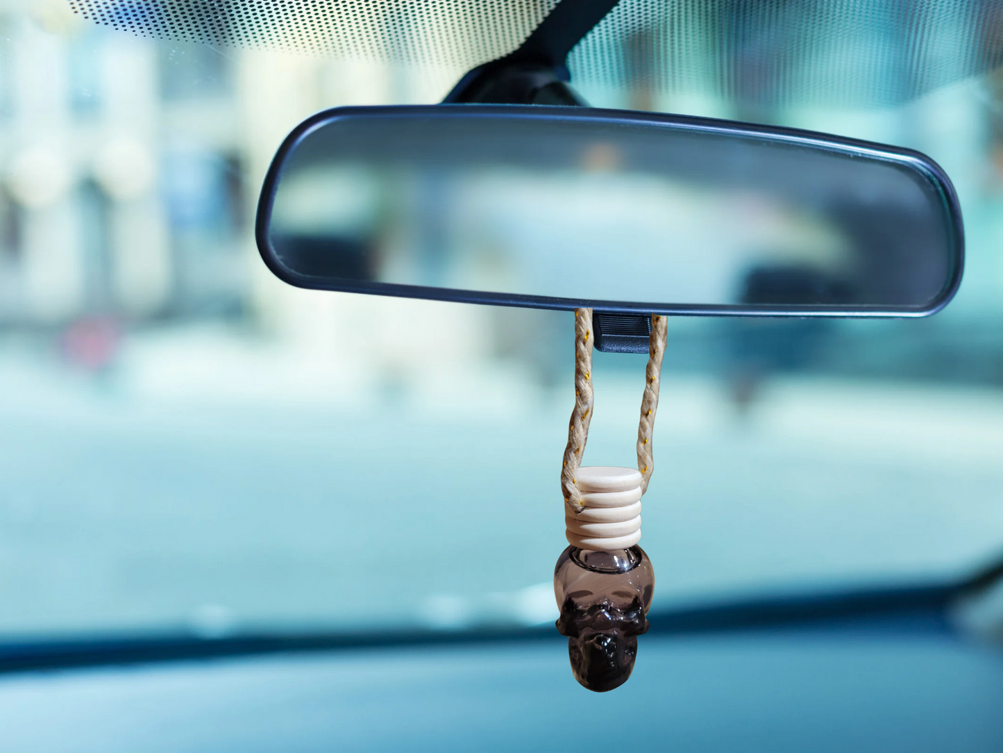 Enjoy The Ride Car Diffuser