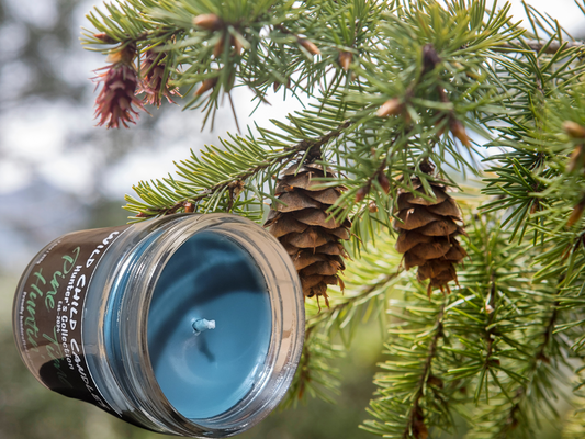 Pine Time Huntin' 7.5oz Candle
