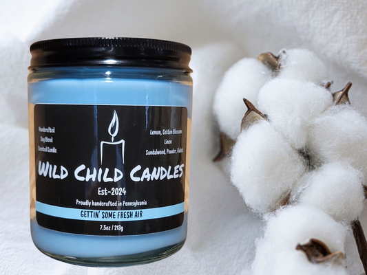 Gettin' Some Fresh Air 7.5oz Candle