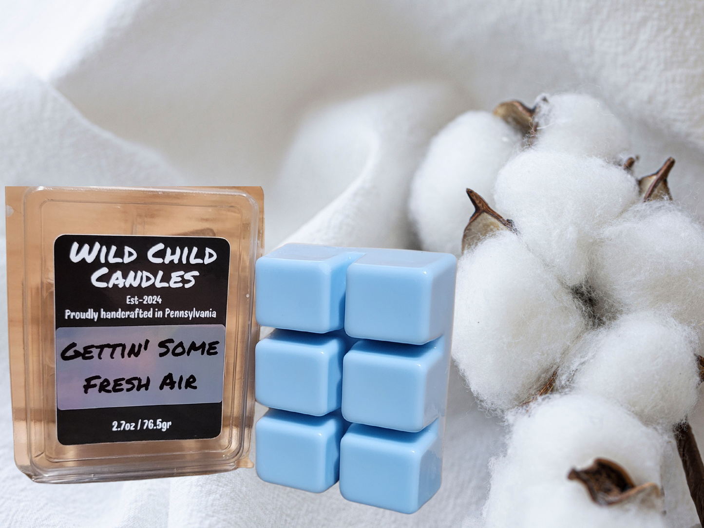 Gettin' Some Fresh Air Wax Melt