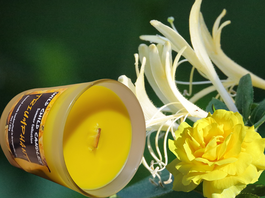 Triumphant 11oz Candle