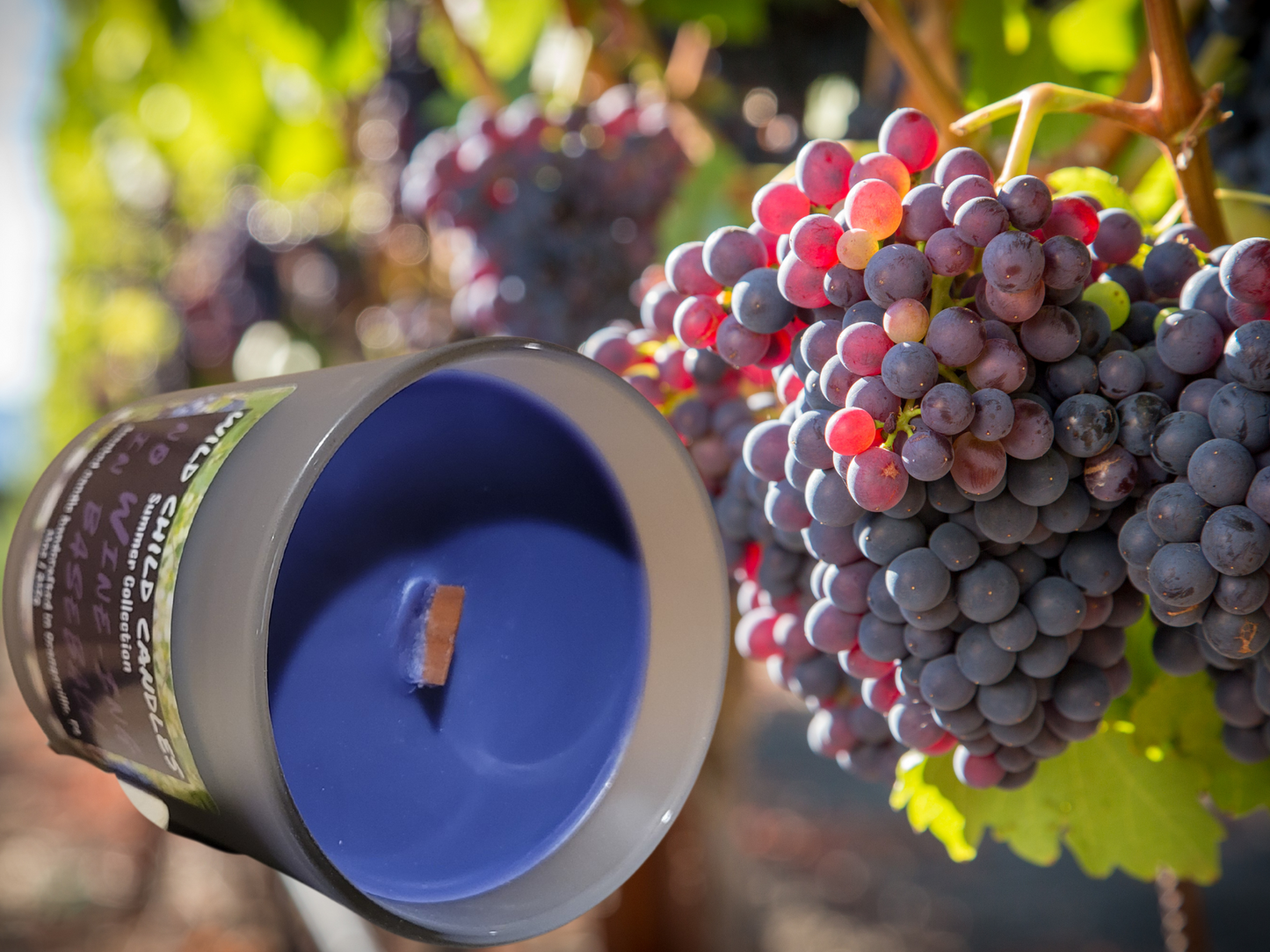 No Wine-ing In Baseball 11oz Candle